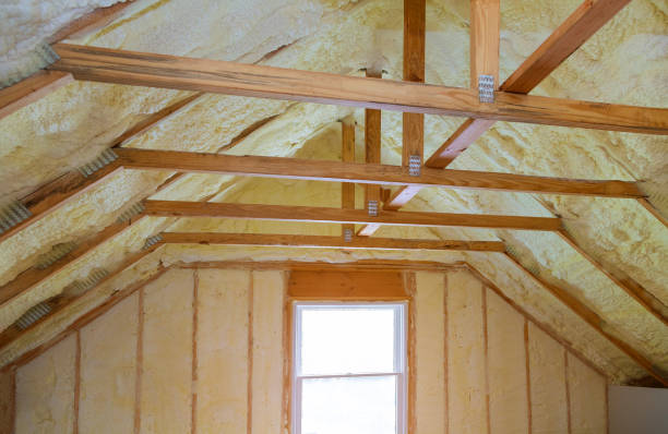 Best Eco-Friendly Insulation in Bolindale, OH