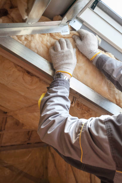 Best Specialized Insulation Services in Bolindale, OH