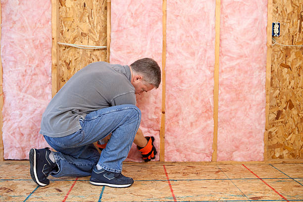 Best Cellulose Insulation in Bolindale, OH